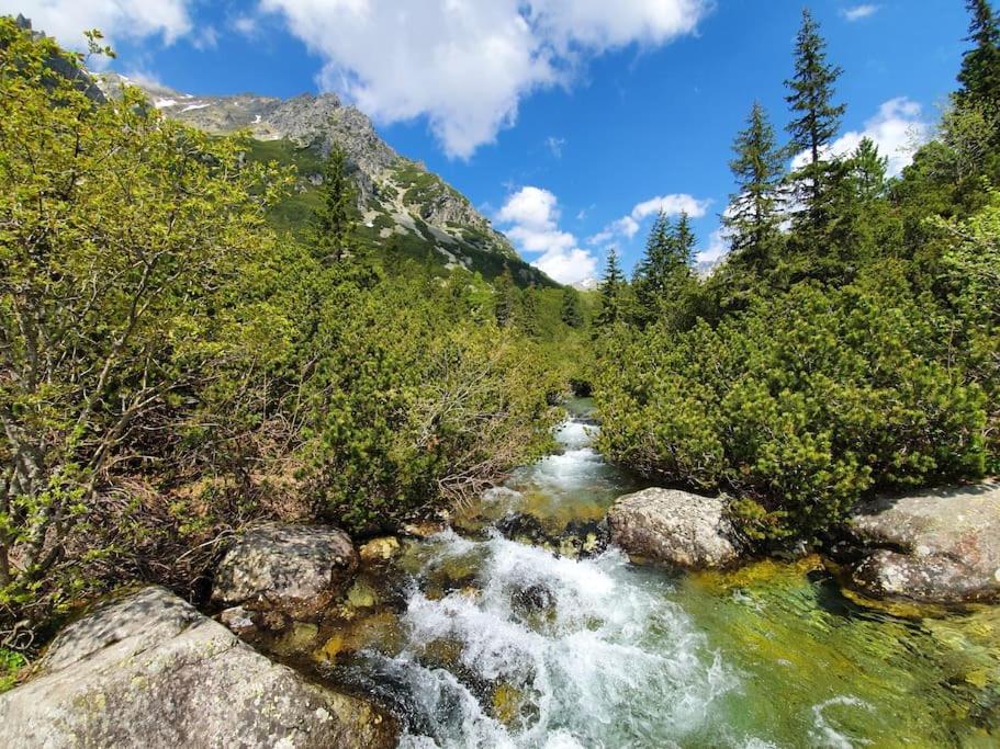 Apartman Ve Vysokych Tatrach Štrbské Pleso エクステリア 写真