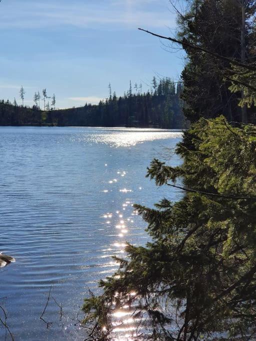 Apartman Ve Vysokych Tatrach Štrbské Pleso エクステリア 写真